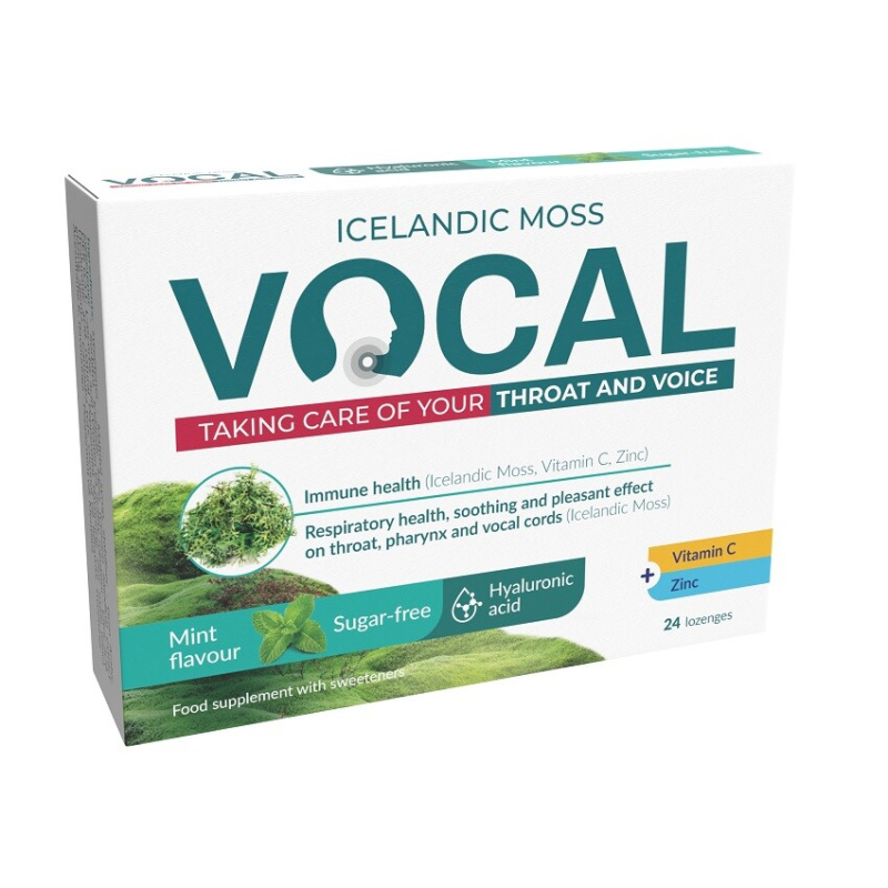 VOCAL HA Pastilky bez cukru s příchutí máty 24 kusů
