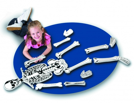Pěnová puzzle kostra Montessori