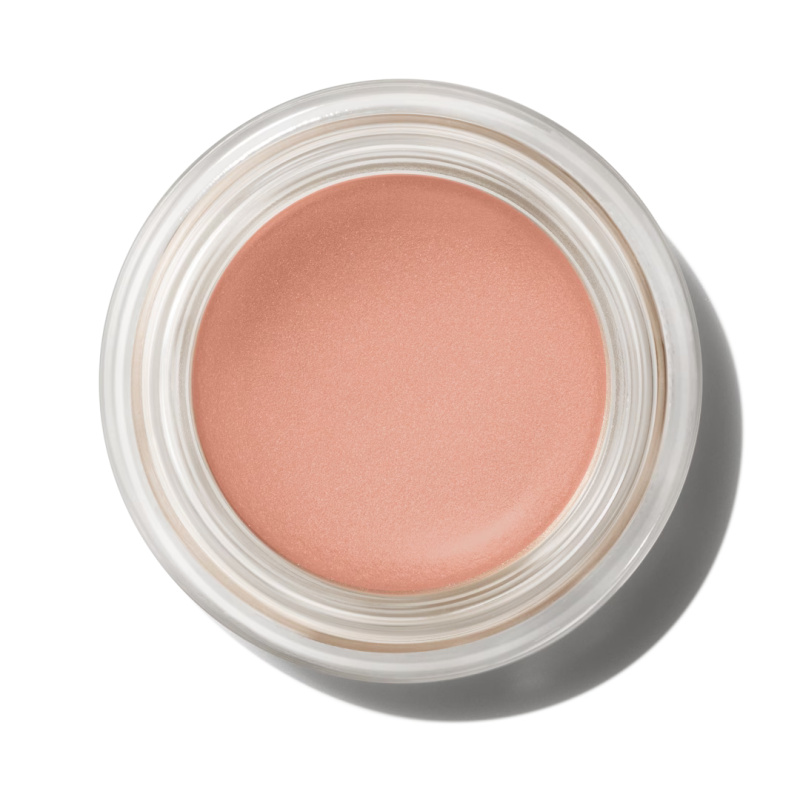 MAC Cosmetics Pro Longwear Paint Pot krémové oční stíny odstín Layin' Low 5 g