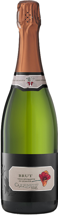 Carpineto Carpineto Spumante Brut