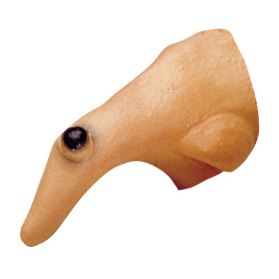 Nos čarodějnický s bradavicí