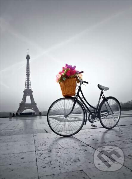 Romantic promenade in Paris - puzzle z kategorie Města a stavby