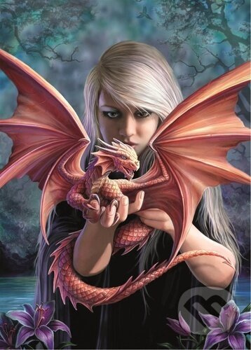 Puzzle 1000 dílků Anne Stokes Dragonkin Collection