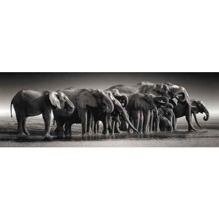 Panoramatické puzzle stádo slonů 1000 dílků
