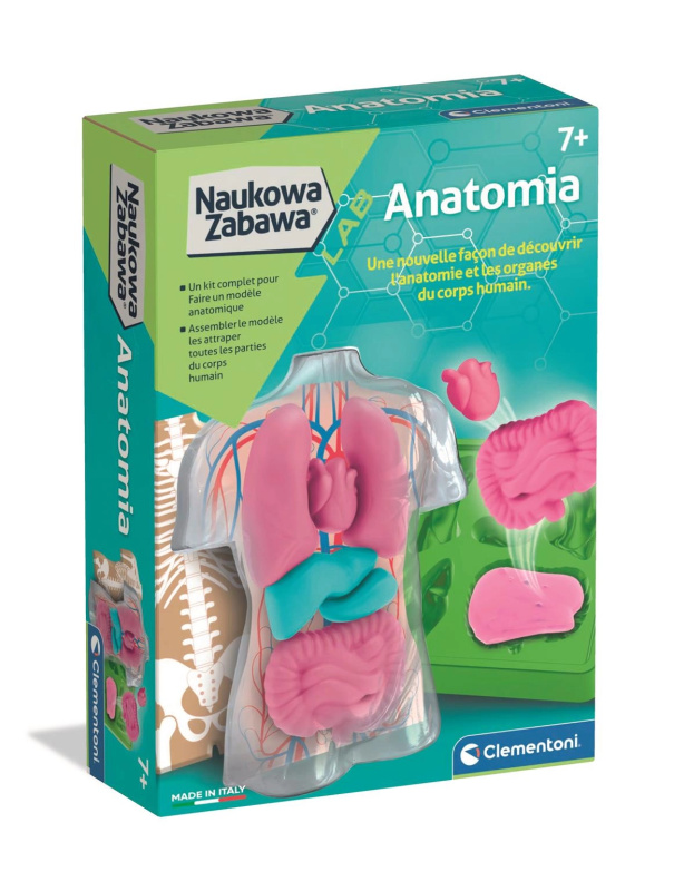 Vzdělávací sada anatomie CLEMENTONI