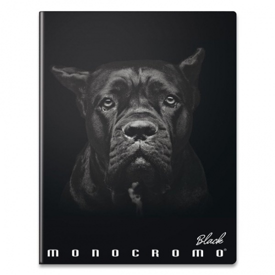 PIGNA Školní sešit 444 Monocromo: Black 1ks (mix)