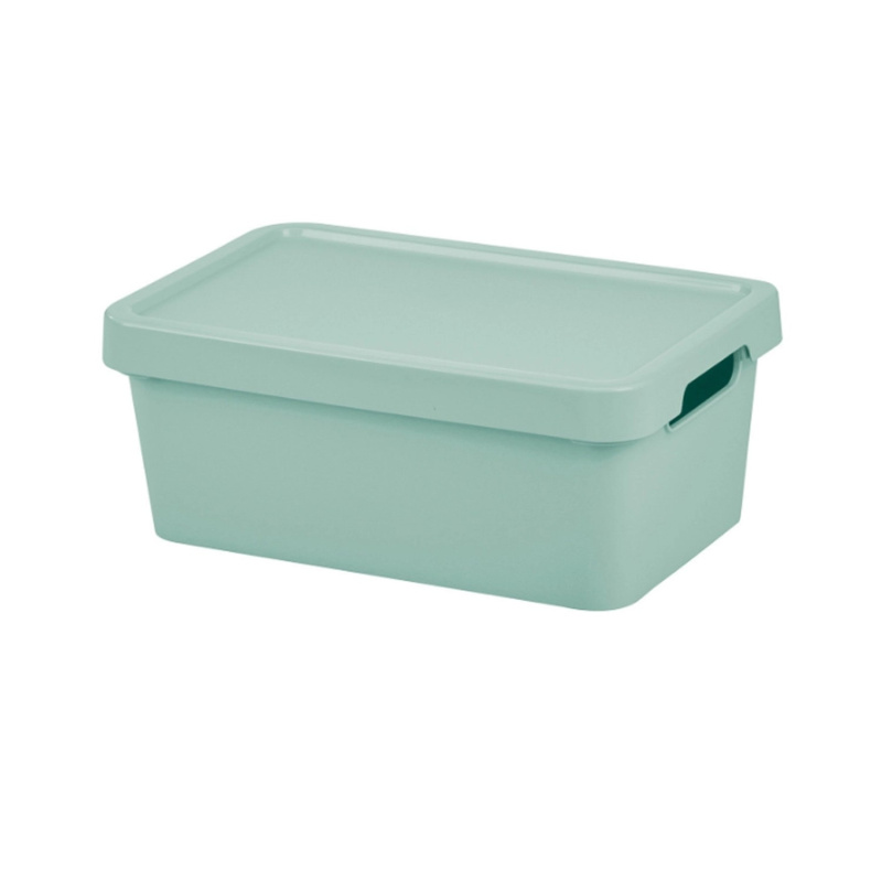 Tontarelli Úložný box s víkem MAYA zelený 4,2 l