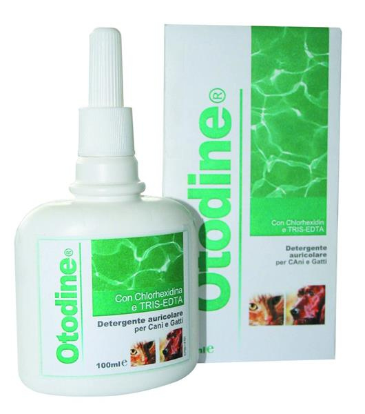 Otodine 100 ml