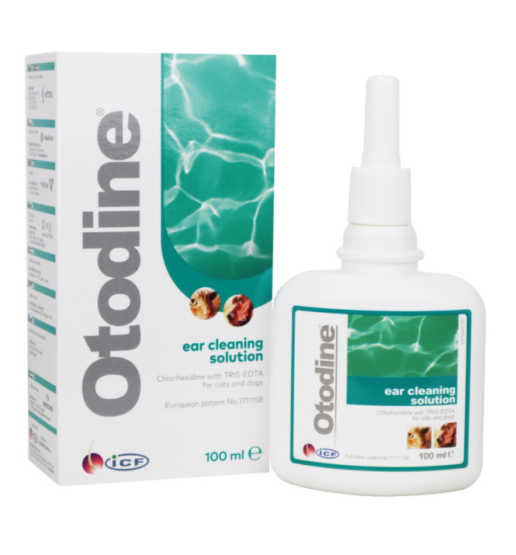Otodine 100 ml