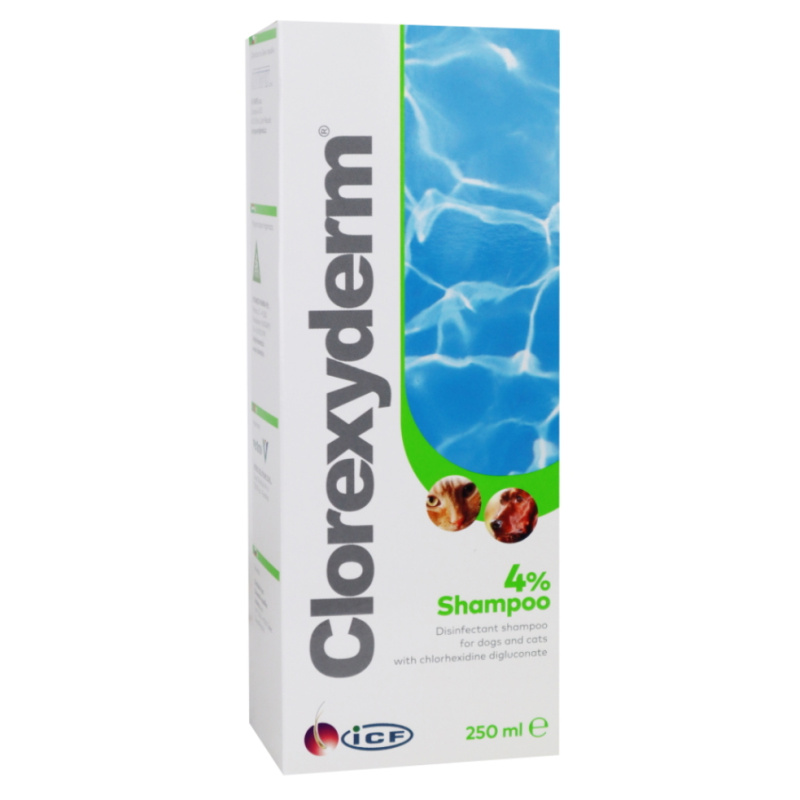 ICF Clorexyderm šampon 4% 250 ml