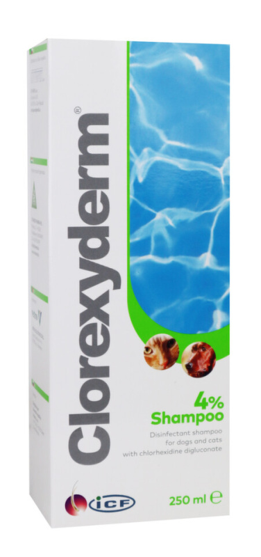ICF Clorexyderm šampon 4% 250 ml