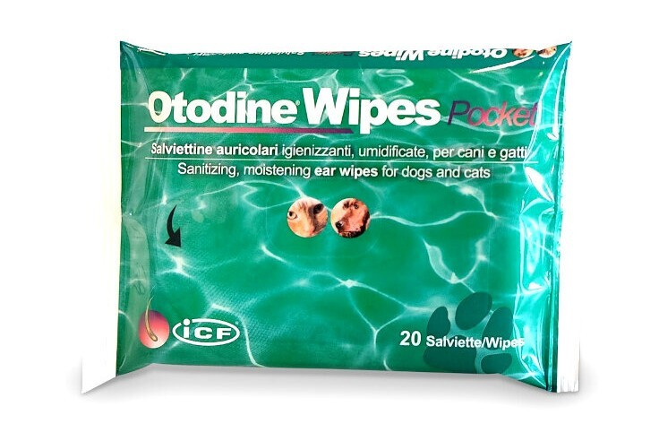 Otodine wipes kapesní ubrousky  20ks