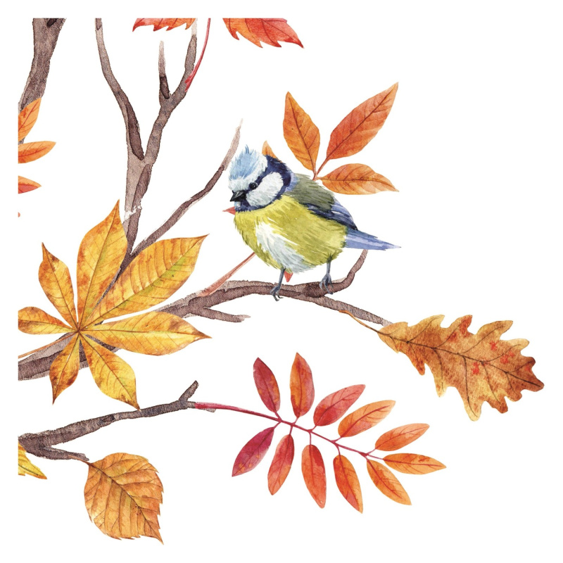 Crearreda Samolepicí dekorace 54121 motiv přírodní, vel. M