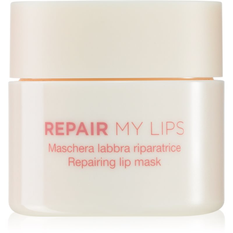 Diego dalla Palma REPAIR MY LIPS hydratační maska na rty 25 ml