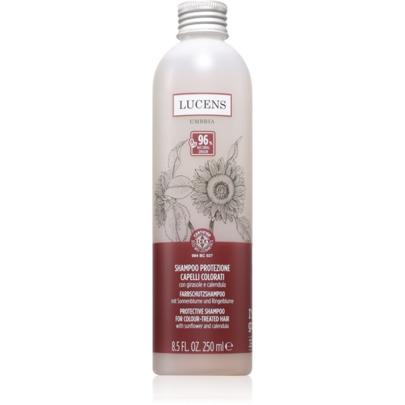 Kemon Group Shampoo Protezione šampon pro ochranu barvy 250 ml