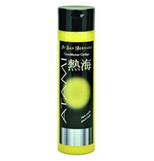 Kondicionér San Bernard Ginkgo  300ml
