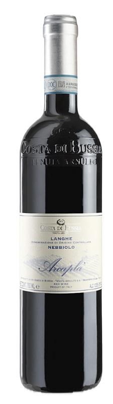 Costa di Bussia Langhe Nebbiolo 2022 DOC Costa di Bussia