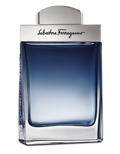 Ferragamo Subtil Pour Homme toaletní voda pro muže 50 ml