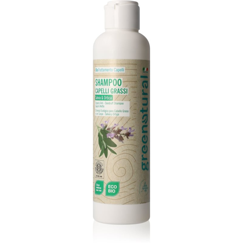 Greenatural Šampon pro mastné vlasy proti lupům šalvěj a kopřiva BIO, 250 ml