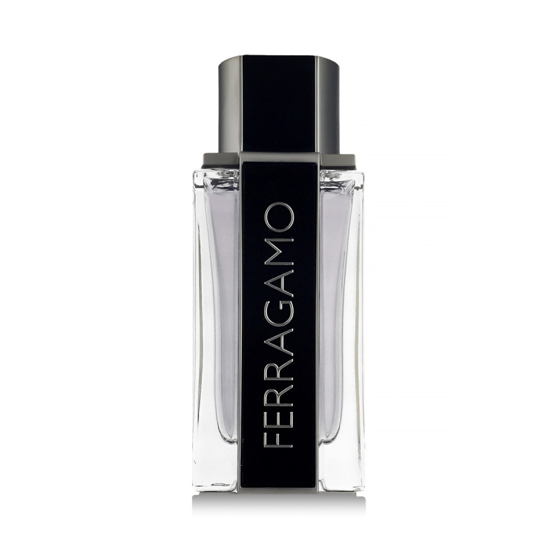 Ferragamo Ferragamo toaletní voda pro muže 100 ml