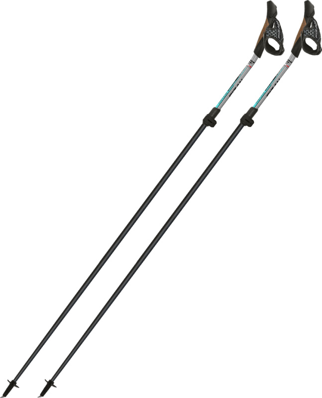 Nordic walking hole FIZAN Tekno Race Impulse šedá 117-130 cm