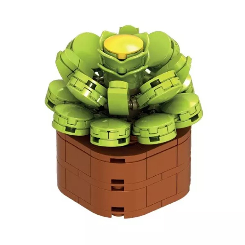 Květinová stavebnice Exotic - Eonium kanárské NICE SRL