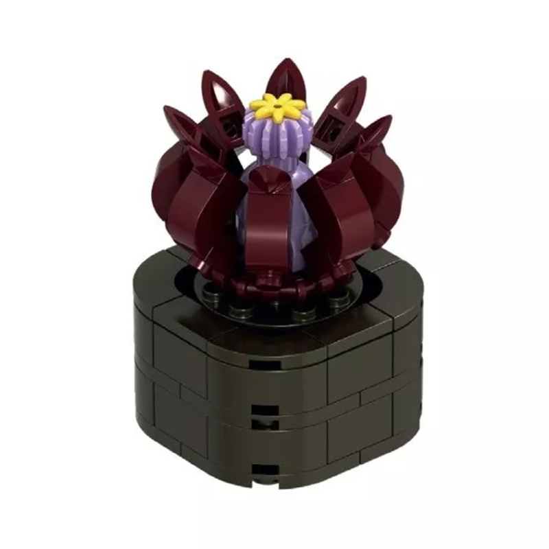 Květinová stavebnice Exotic - Stapélie NICE SRL