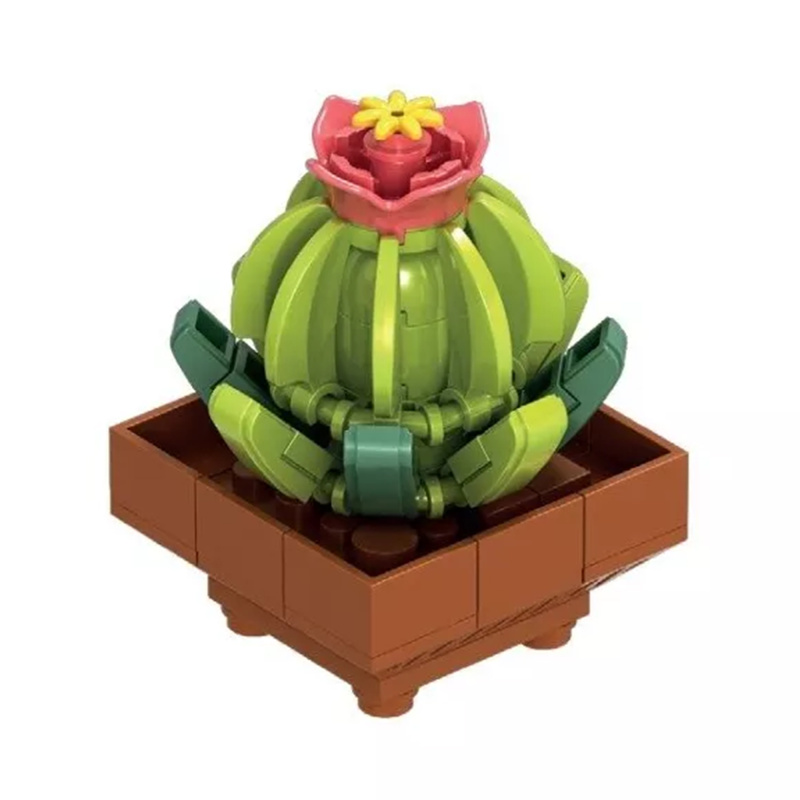 Květinová stavebnice Exotic - Ariokarpus NICE SRL