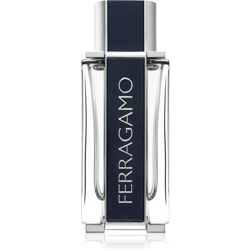 Ferragamo Ferragamo toaletní voda pro muže 100 ml