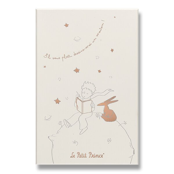 Sada Moleskine Le Petit Prince L, zápisník a diář, sběratelská edice