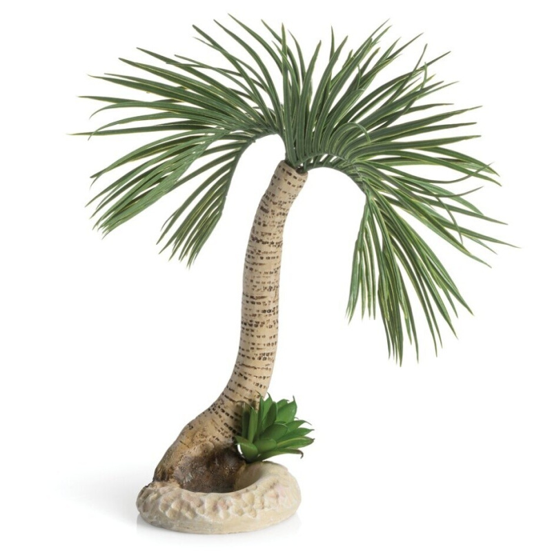 biOrb palm tree Seychelles L
