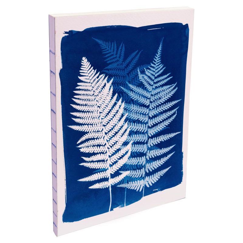 Zápisník Cyanotype, A5, 80 listů, linkovaný - kapradí