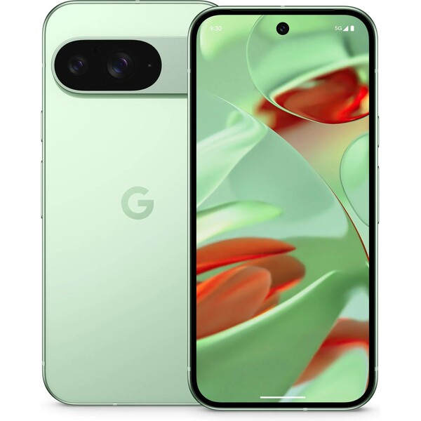 Google Pixel 9 12GB/256GB Wintergreen (Kategorie B)