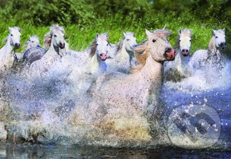 White Horses of Camargue - puzzle z kategorie Zvířata