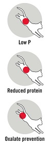 Trovet Cat Renal a Oxalate  - RID - 2,5kg