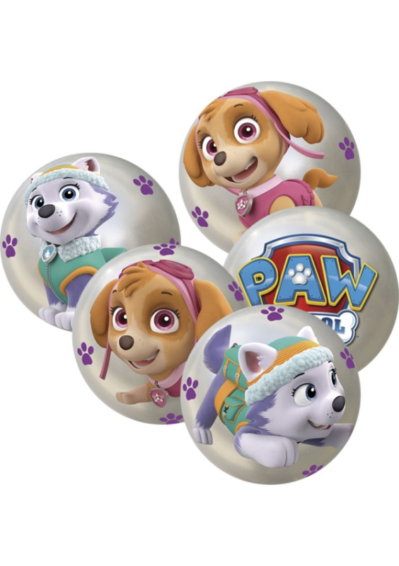 Míč Tlapková patrola 10 cm DINO