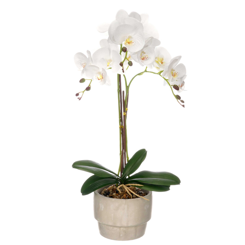IBERGARDEN Umělá orchidej v cementovém květináči ORCHI, 56 cm vícebarevná