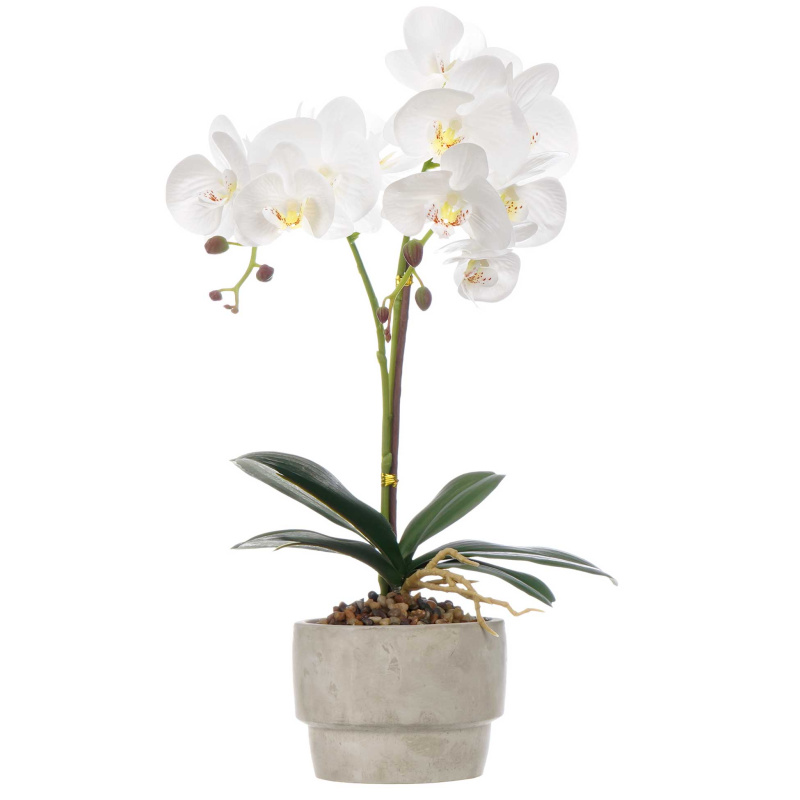 IBERGARDEN Umělá orchidej v cementovém květináči ORCHI, 49 cm vícebarevná