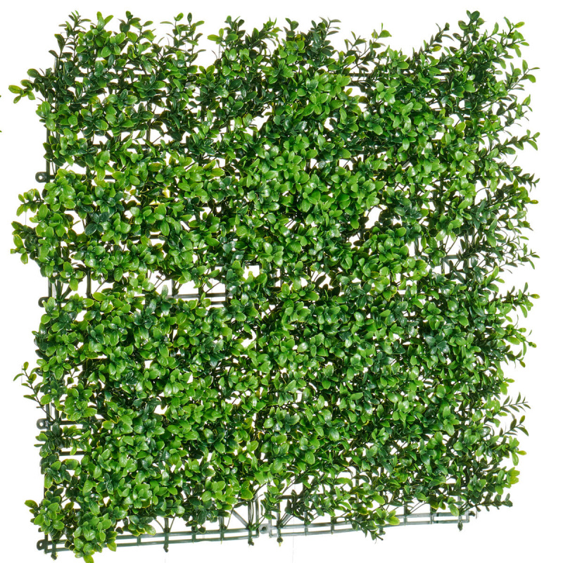 IBERGARDEN Umělý živý plot, 50 x 50 cm zelená