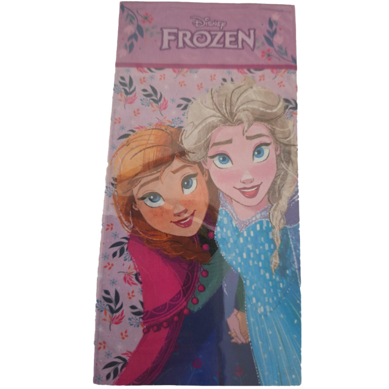 Carbotex Dětská osuška Ledové Království Sestry z Arendelle