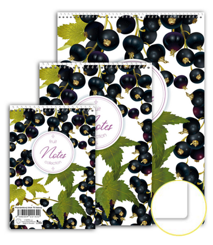 Notes Blok se spirálou nahoře A4, čistý