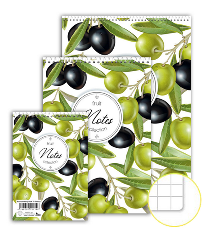 Blok spirála hlava A4 čtvereček 14075 NOTES Bohemia s.r.o.