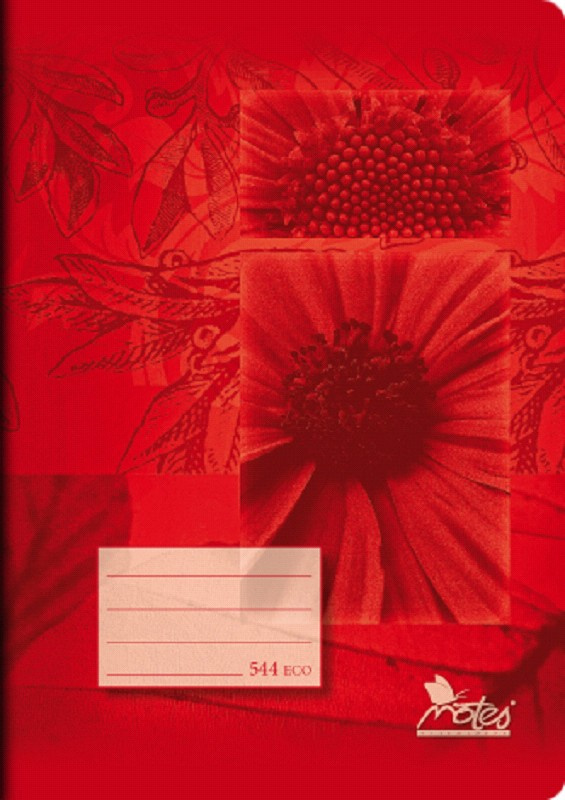 Notes Sešit recyklovaný A5, 40 listů, linkovaný