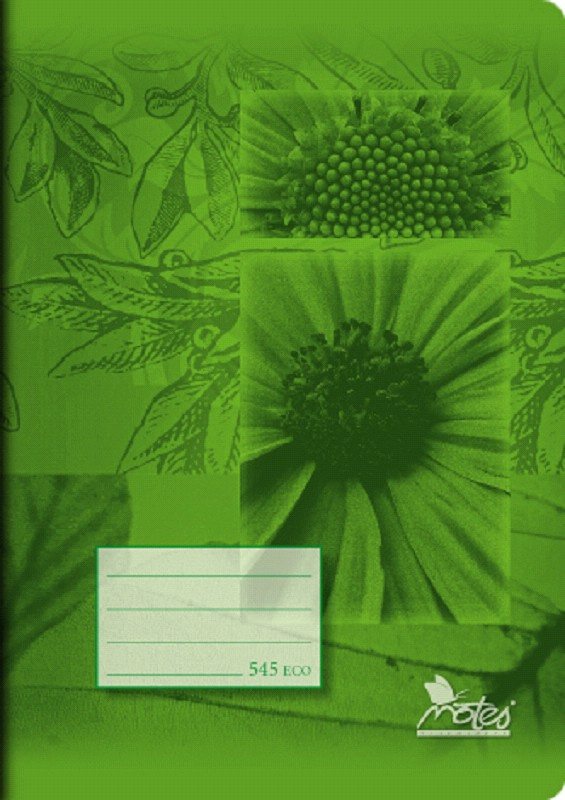 Notes Sešit recyklovaný A5, 40 listů, čtverečkovaný