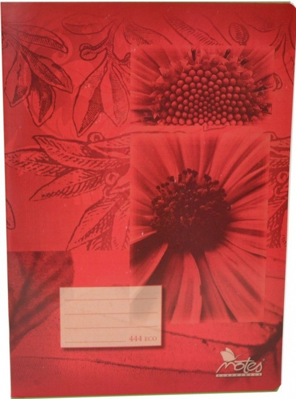 Notes Sešit recyklovaný A4, 40 listů, linkovaný