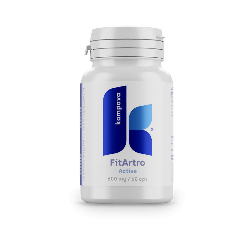 Kompava Fit Artro Aktiv 600 mg/60 kps