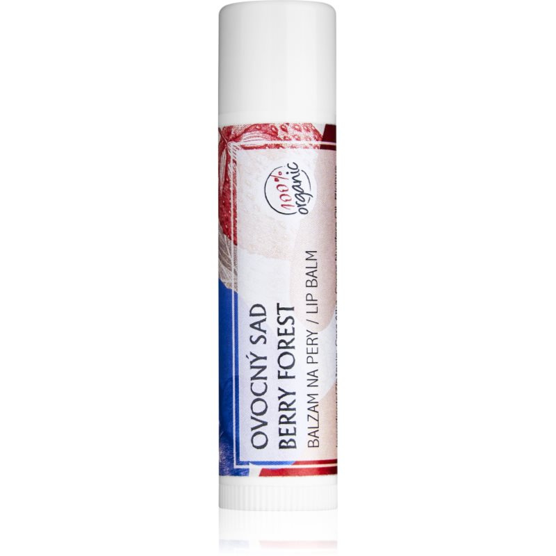Soaphoria Lip Care Berry Forest ovocný organický balzám na rty 5 g