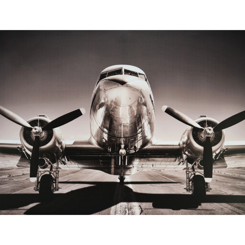 FALC Obraz tištěný na plátně Letadlo 60 x 80 cm