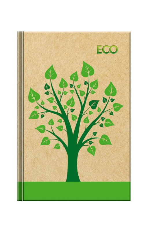 Notes Eco - veľký (linajkovaný)