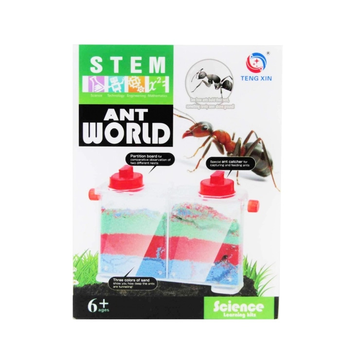 kreativní sada – svět mravenců